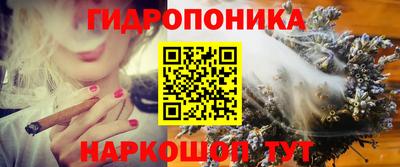 круглые Лесосибирск