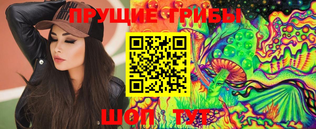 Россия  Псилоцибиновые грибы MAGIC MUSHROOMS  Вход с VPN 