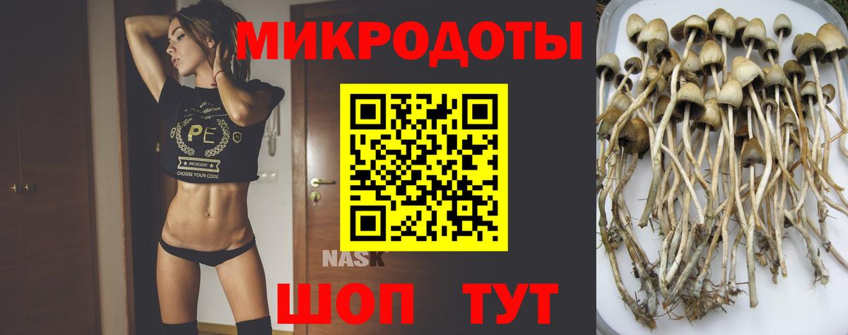 Псилоцибиновые грибы GOLDEN TEACHER Россия